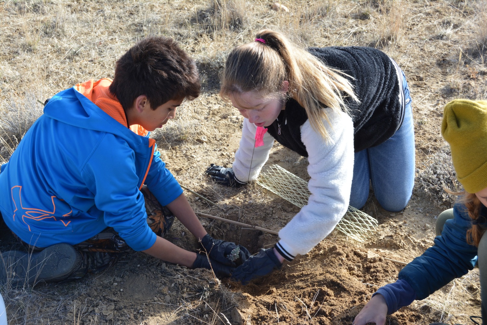 Restoring the sagebrush ecosystem Lander Middle School Wyoming Department of Environmental